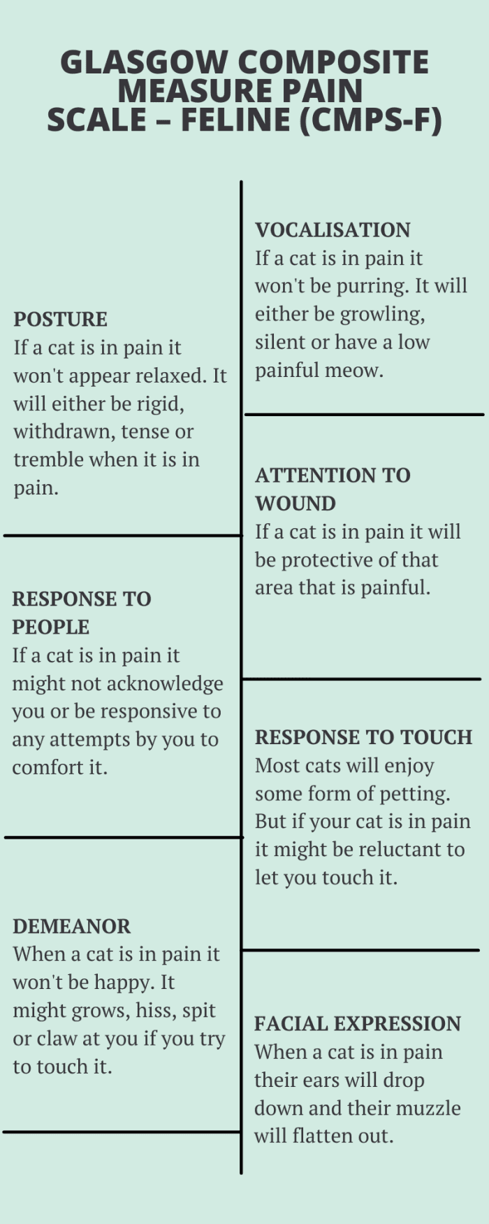 Types of Pain Scales Used to Assess Acute Pain in Cats PetHelpful