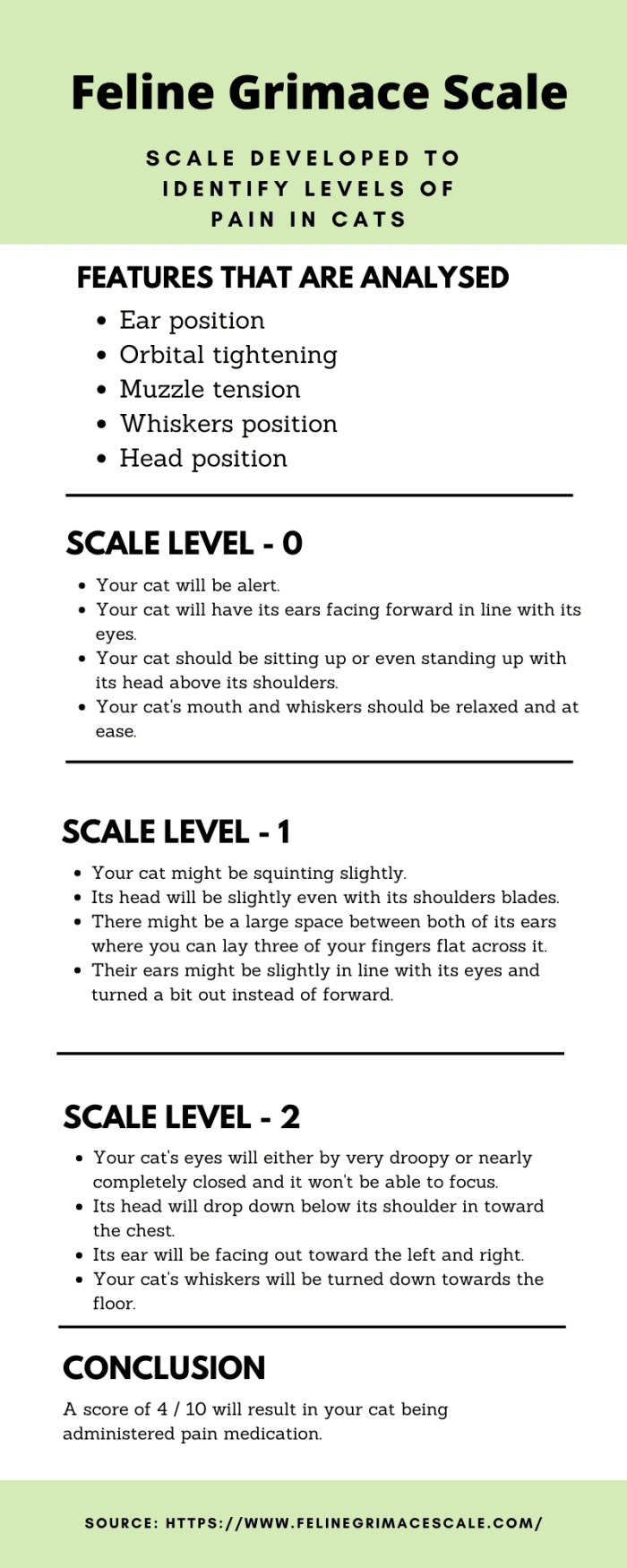 Types of Pain Scales Used to Assess Acute Pain in Cats - PetHelpful