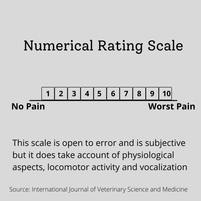 Types Of Pain Scales Used To Assess Acute Pain In Cats - Hubpages