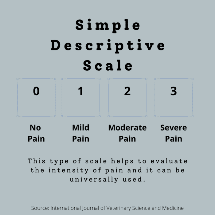 Types of Pain Scales Used to Assess Acute Pain in Cats - PetHelpful