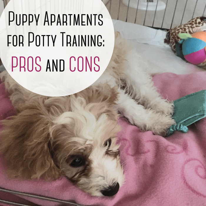 Pros and Cons of Using a Puppy Apartment for Potty Training - PetHelpful