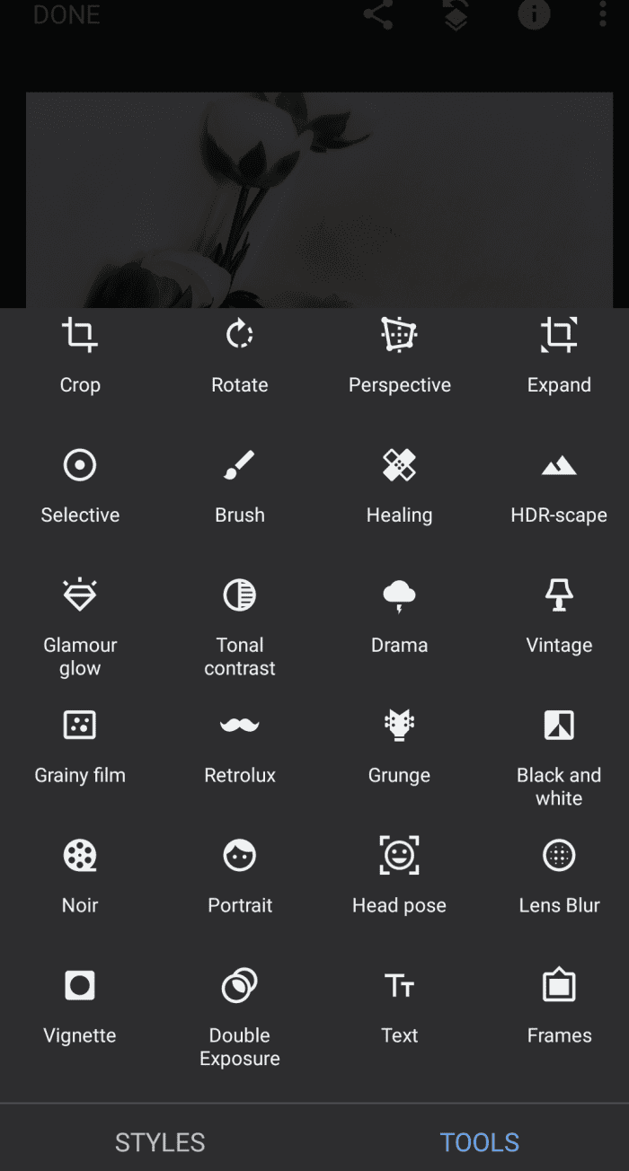 Snapseed Beginner's Guide to Creating Black and White Photo Edits