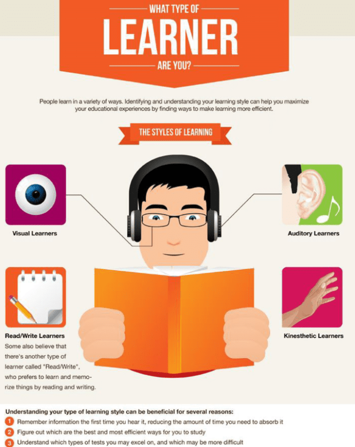 9-types-of-learners-hubpages