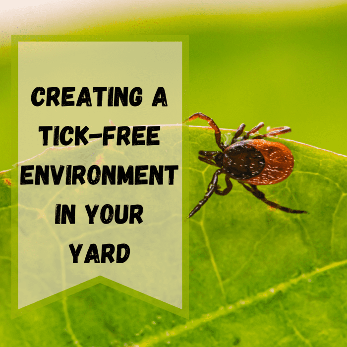 Tips for Designing a TickFree Environment for Your Yard Dengarden
