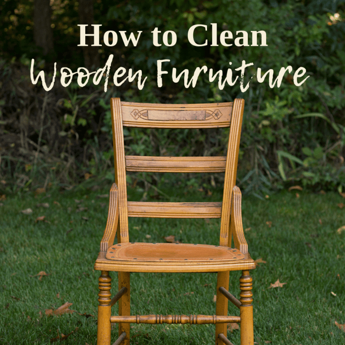 How to Clean Wood Furniture Like a Professional Dengarden