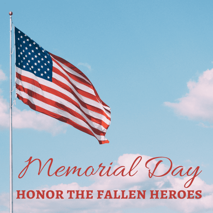Memorial Day Meaning, Facts, and Celebration Ideas Holidappy