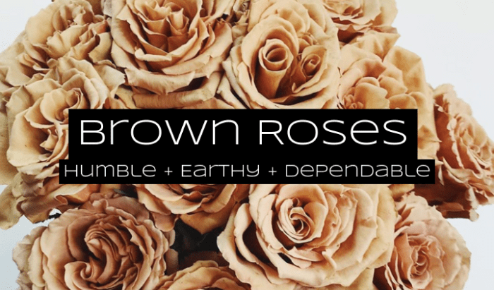 Brown roses are for dependability, humility, and class. Give these to the earthy friend among your group.
