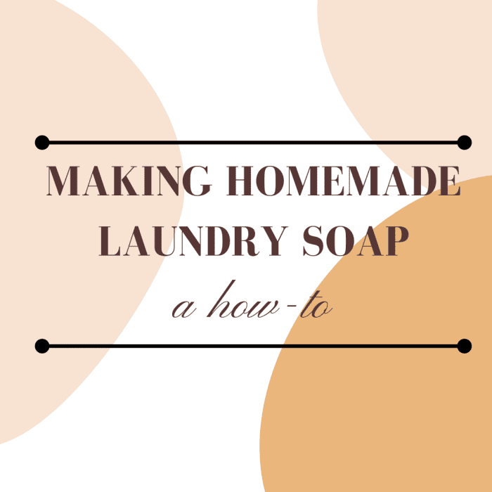 DIY Zote Soap Recipe How to Make Your Own Laundry Soap Dengarden