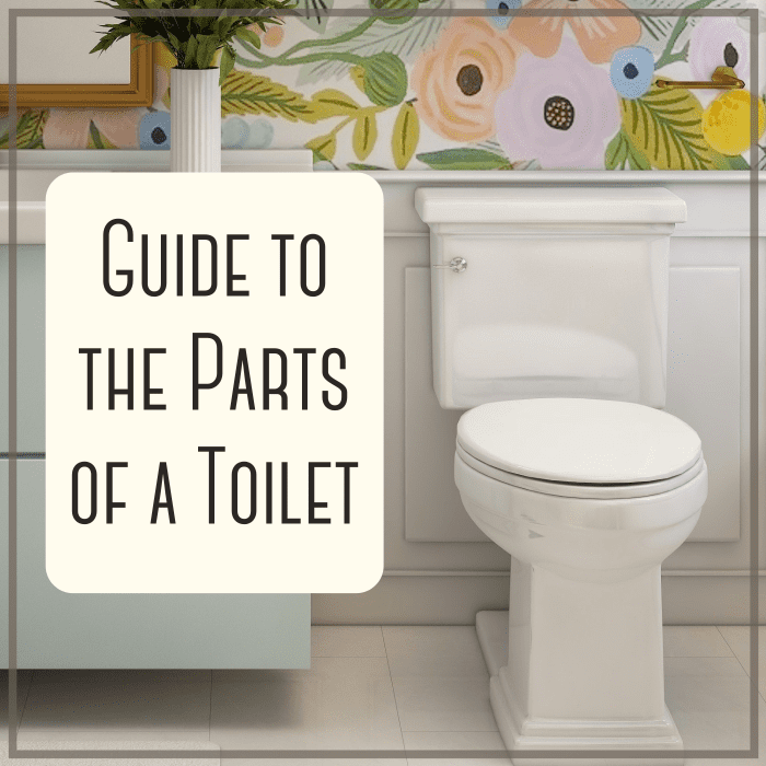 What Are the Parts of a Toilet? (With Diagram) - Dengarden