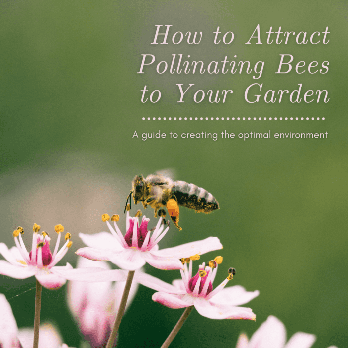 How To Encourage Pollinating Bees In Your Garden - Dengarden