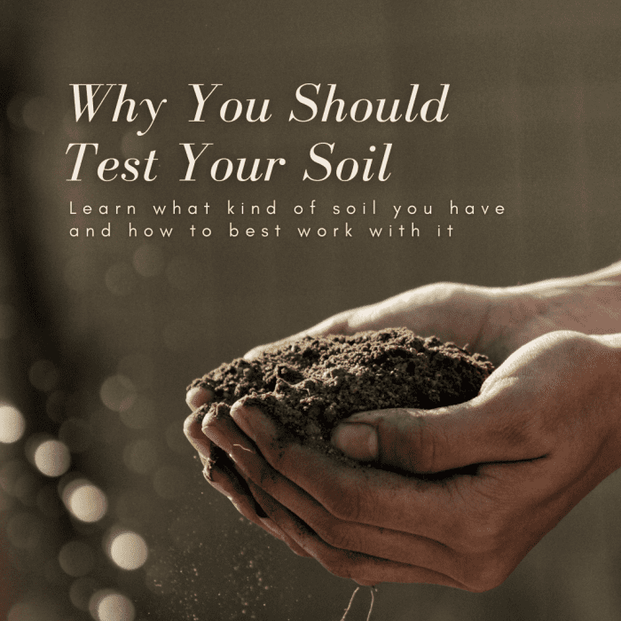 This article will break down why it's important to test your soil and provide information on how to improve its quality.