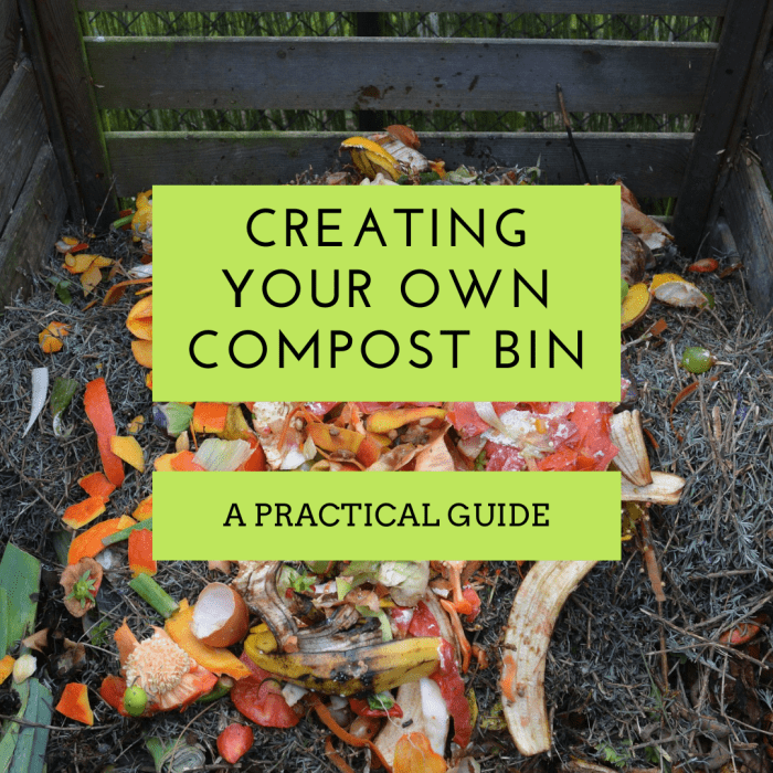 This article will show you how to put together your own compost bin and manage the health of your compost.