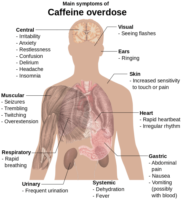 Potential symptoms of a caffeine overdose