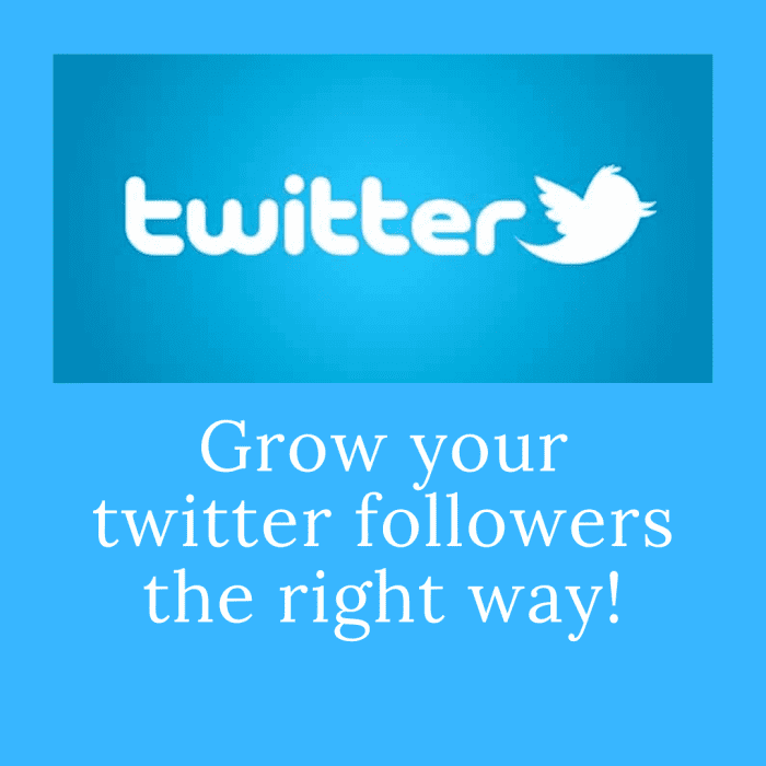 Legit & Effective Tips To Grow Your Twitter Followers - HubPages