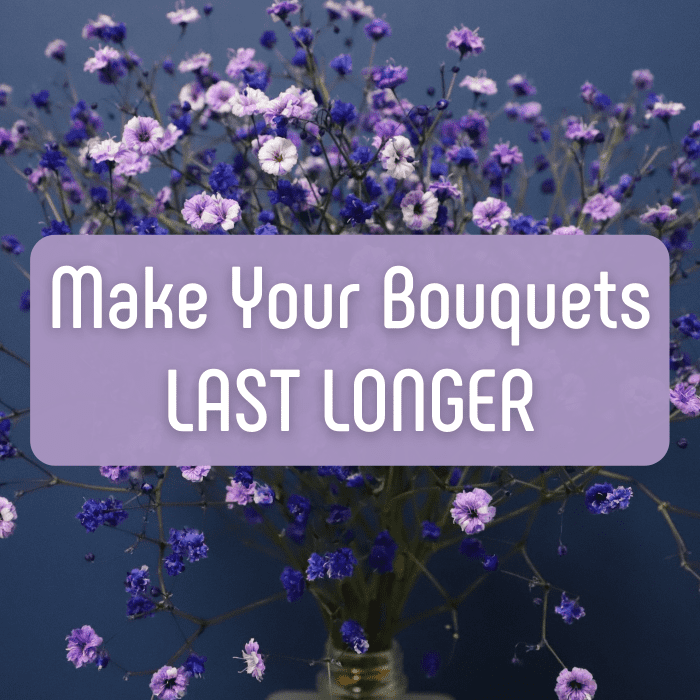 How to Make Bouquets of Cut Flowers Last Longer Dengarden