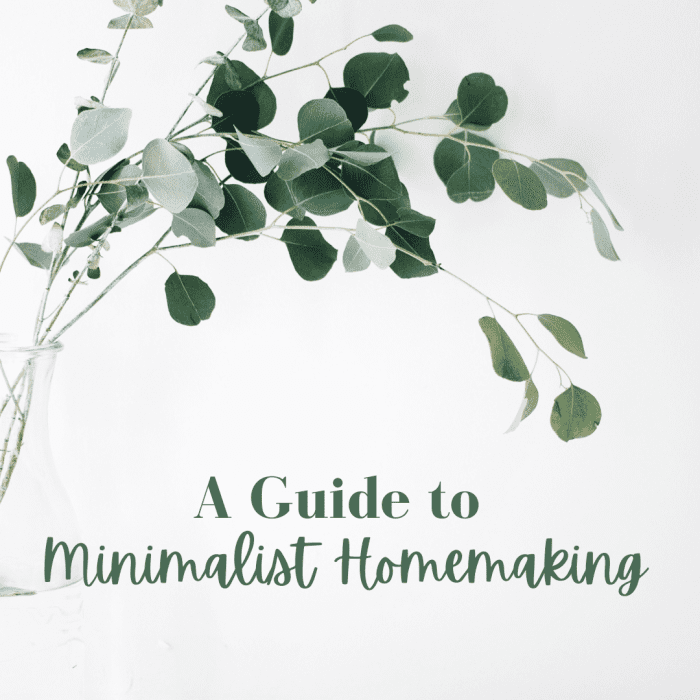 Simplify your cleaning routine, decor, and style utilizing the fundamentals of minimalist homemaking.