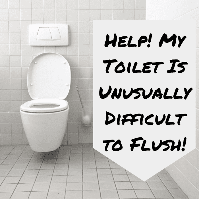 How to Fix Your Toilet's Flush Valve Seal (With Photos) Dengarden