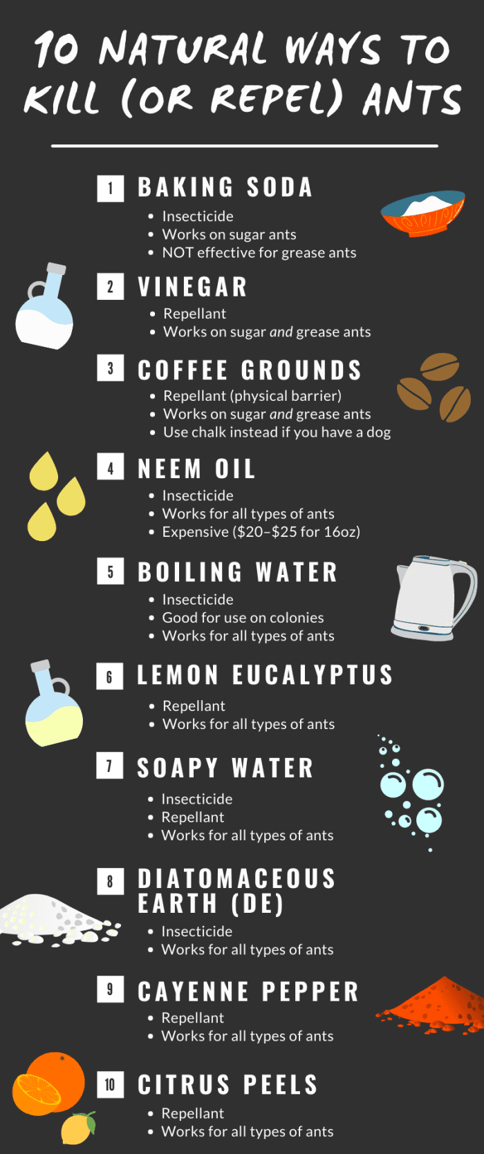 Instead of bringing toxic chemicals into your home to deal with ants, consider using these safe, natural alternatives.