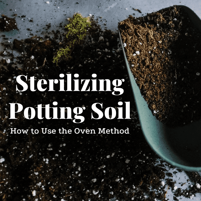 How to Sterilize Potting Soil by Baking It in the Oven Dengarden