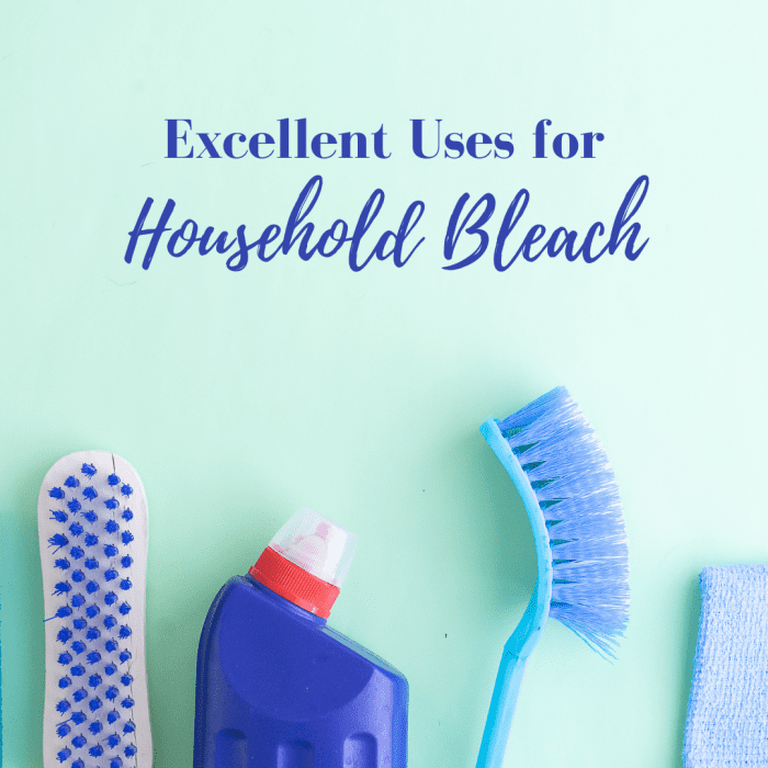 22 Great Uses for Household Bleach Dengarden