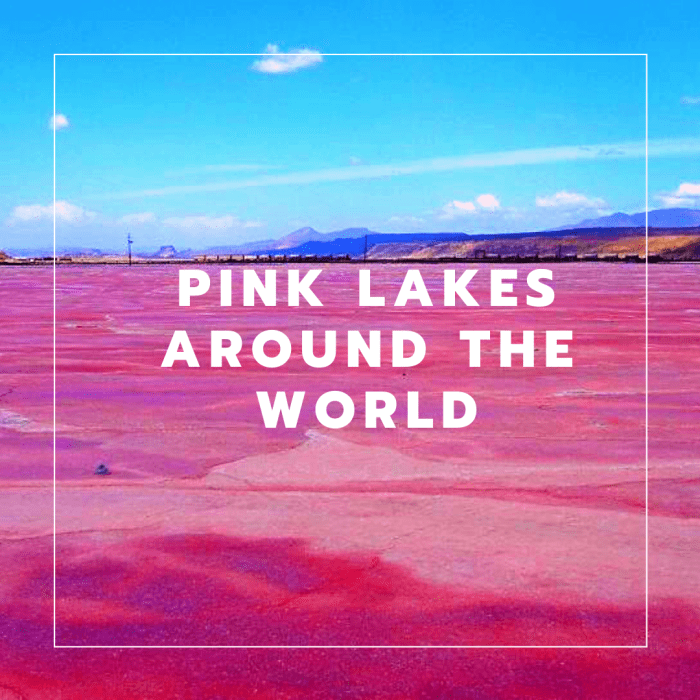 Pink Lakes Around the World HubPages
