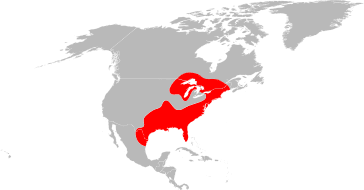 Black-legged ticks, commonly referred to as the deer tick, are generally found in the Eastern half of the United States as shown in the map above.