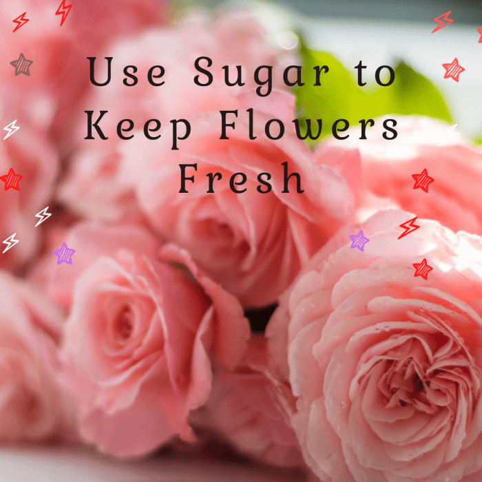 9 Cool Things You Can Do with Sugar HubPages