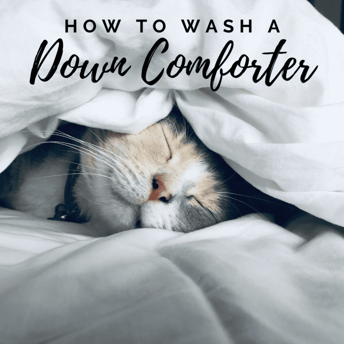 How to Wash a Down Comforter or Duvet Dengarden