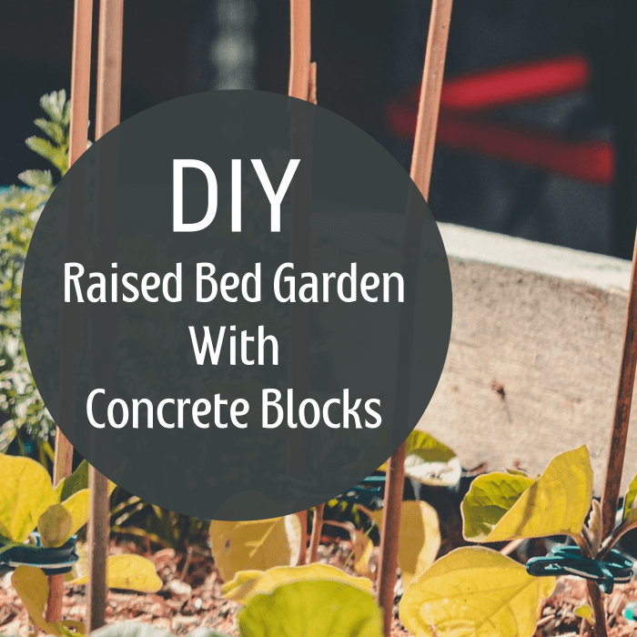 Try out this easy DIY project for building a raised bed garden out of concrete blocks.