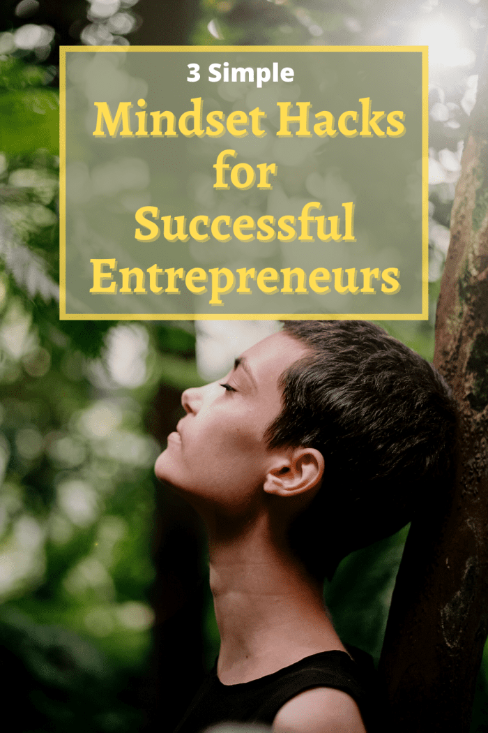 3 Simple Mindset Hacks For Entrepreneurs To Become Successful (2022 ...