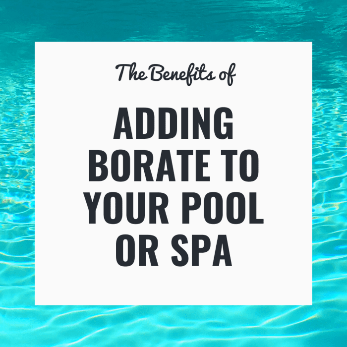 Borate prevents pH drifting, which results in calcium scaling, metal stains, cloudy water, algae, and hard pool water.