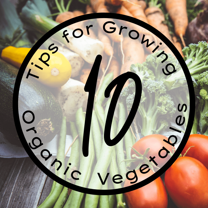 Grow an organic vegetable garden using these ten tips.