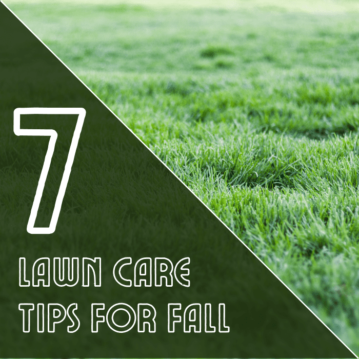Prepare your yard for winter with these seven lawn care tips for the fall.
