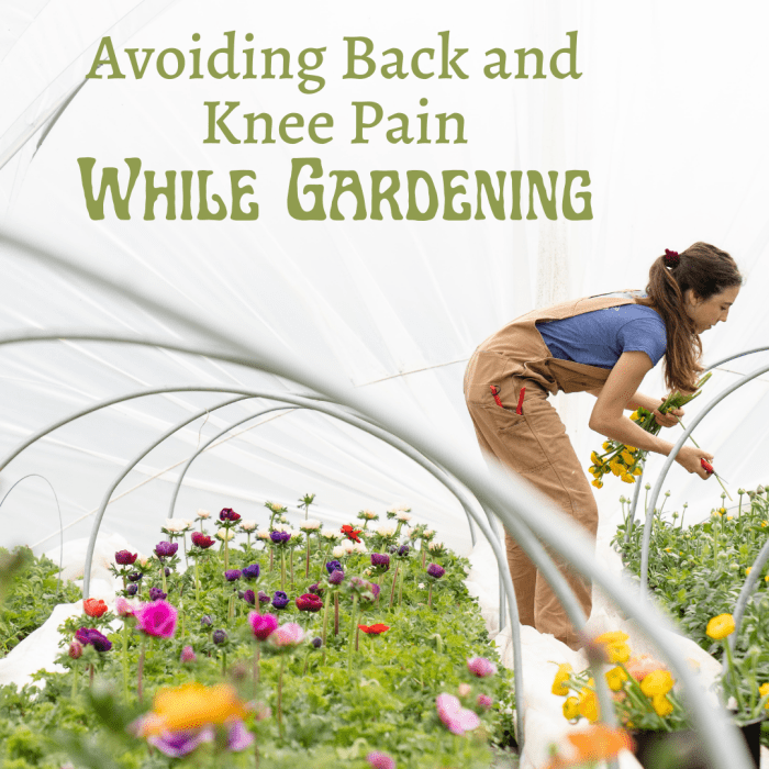 10 Tips for Reducing Knee and Back Pain While Gardening Dengarden