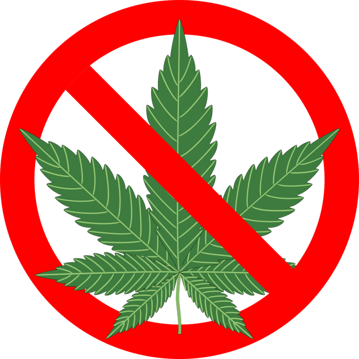 You can lose IQ points, develop breathing problems, injure your unborn baby, suffer paranoia or anxiety, or (even where it's legal) fail drug tests and lose your livelihood.