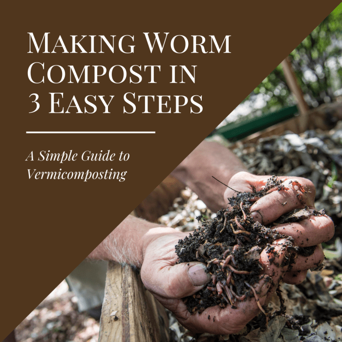 How to Make Worm Compost in 3 Easy Steps Dengarden