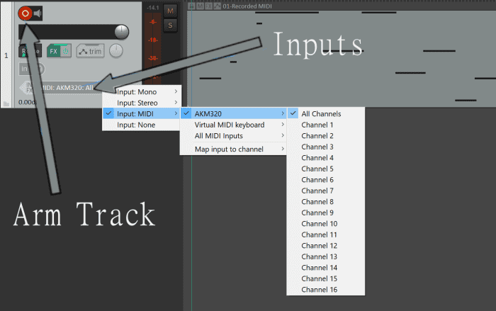 In Reaper, click the Arm Track button to see the Inputs option. Then select your MIDI device and click All Channels. My MIDI device is AKM320