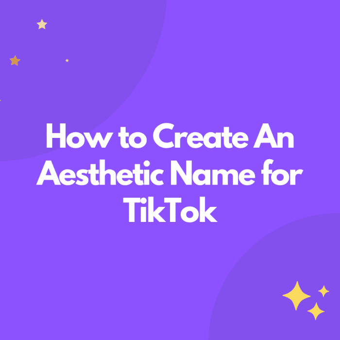 How to Create Aesthetic Names for TikTok: The Ultimate Guide - TurboFuture