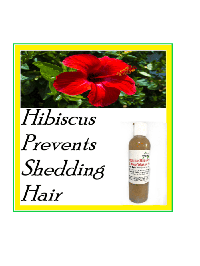 Put this Flower in Your Hair. This rice water hair product is slightly fermented. There was a study made in 2012 and shows that fermented rice water has a higher level of antioxidants, which repairs damaged hair.