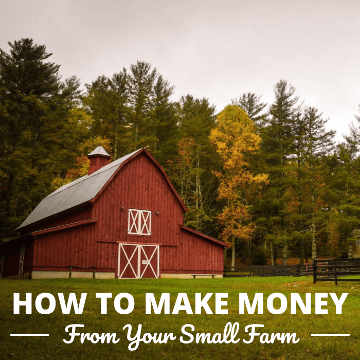 27 Ways to Make Money From Your Small Farm - ToughNickel