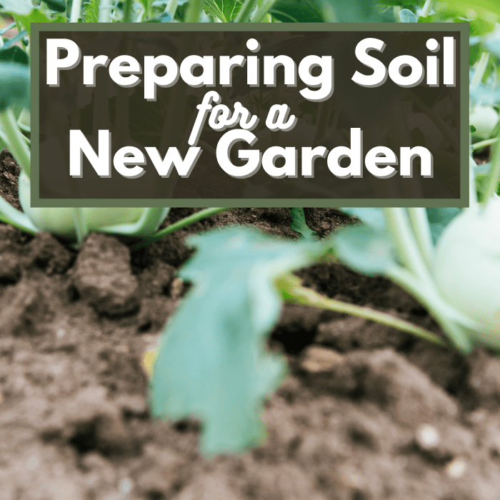 Step-by-step guide to preparing soil for a new gardening season.