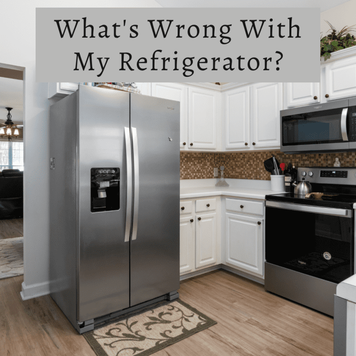 6 Most Common Reasons for Your Refrigerator to Malfunction Dengarden