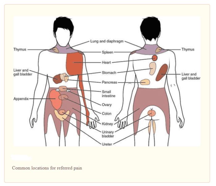 can-you-control-your-abdominal-pain-hubpages