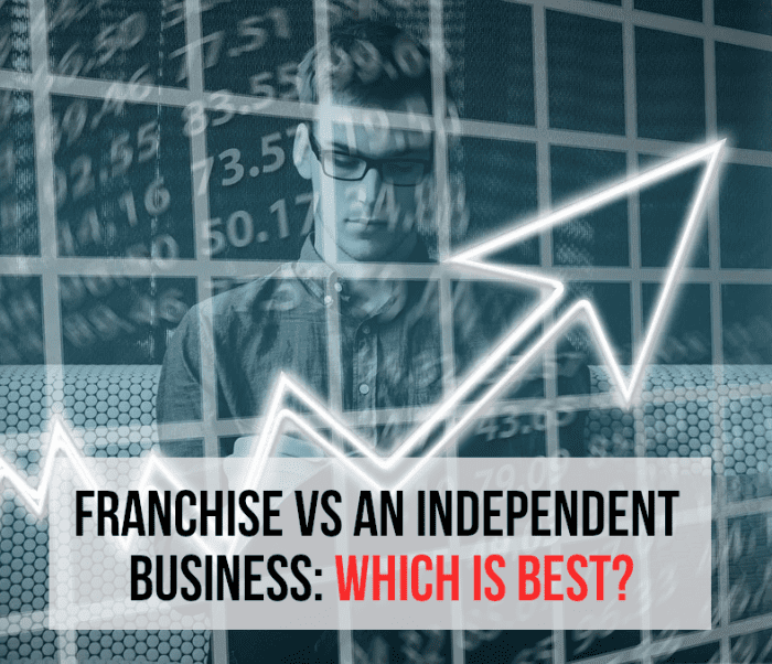 Assessing the pros and cons of operating a franchise, compared to operating an independent business, can be a headache due to many factors. Below, I list the advantages and disadvantages of both approaches from a business perspective.