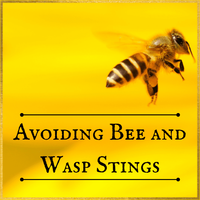 How to Avoid Bee and Wasp Stings - Dengarden