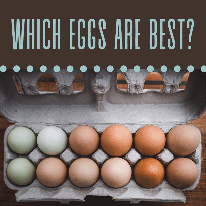 the-difference-between-pastured-organic-and-free-range-eggs-delishably