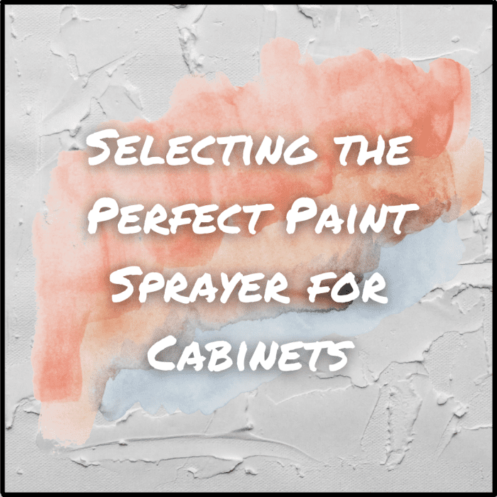 What's the Best Paint Sprayer for Dengarden