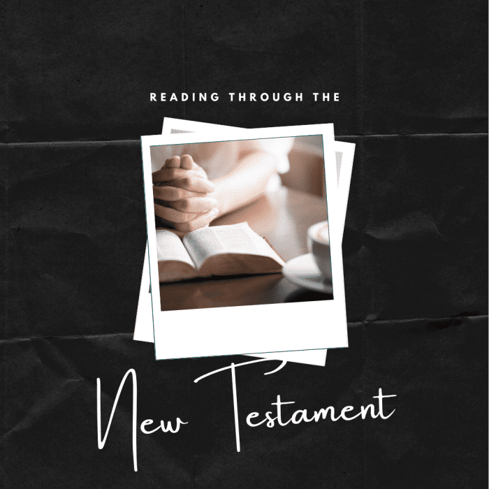 Going Through The New Testament In 30 Days LetterPile