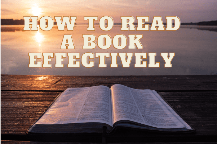 how-to-read-a-book-effectively-hubpages