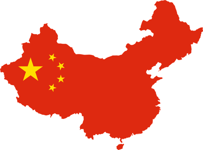 China's one-child policy was condemned as a violation of human rights and found to be unworkable as a viable solution.